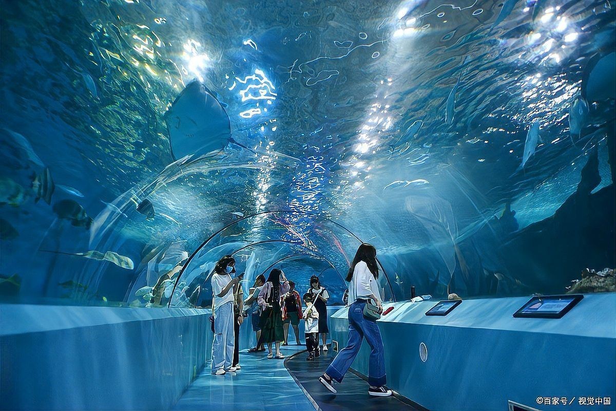 國家水族館名錄大全2023最新，2023國家水族館