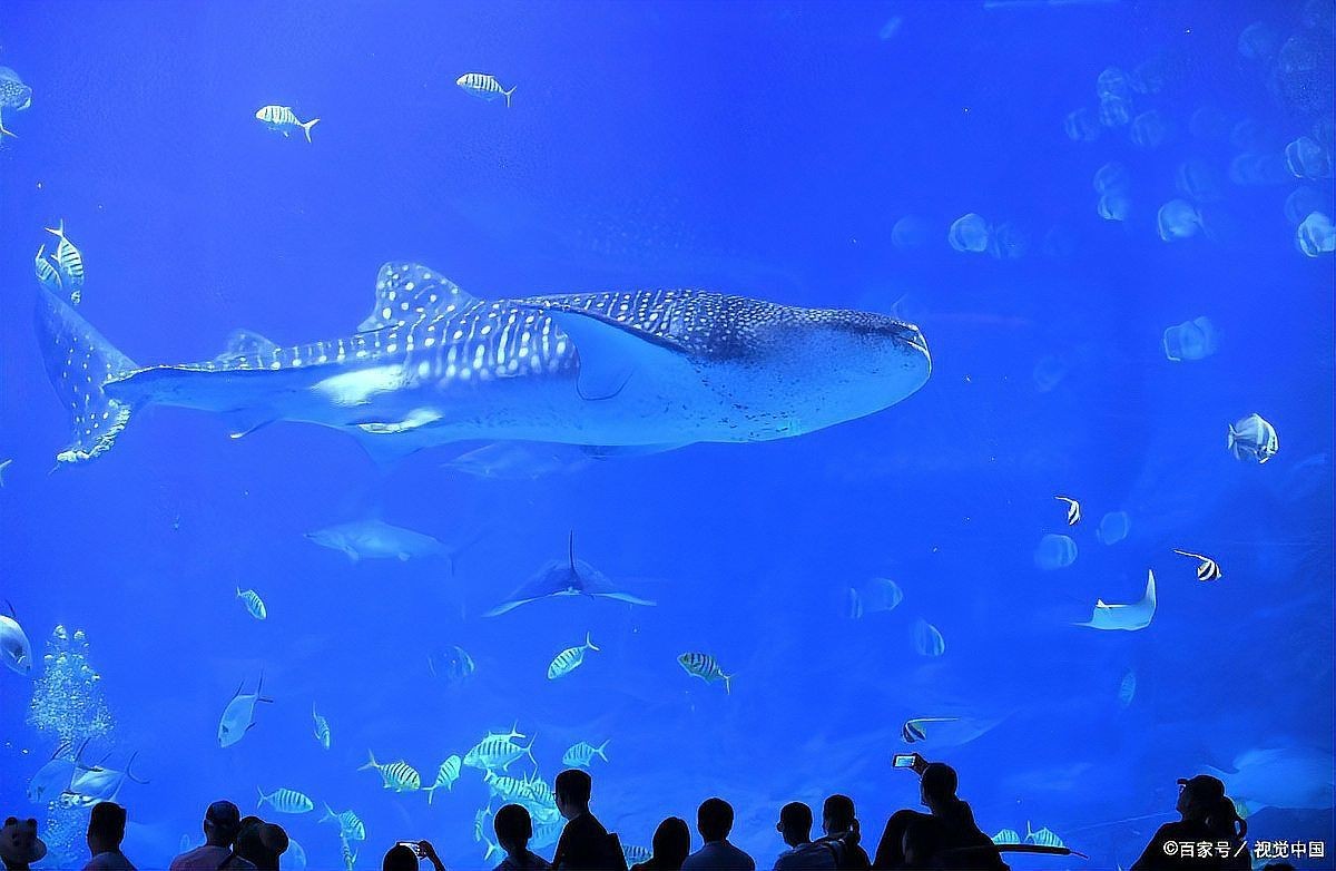 國家水族館名錄大全2023最新，2023國家水族館