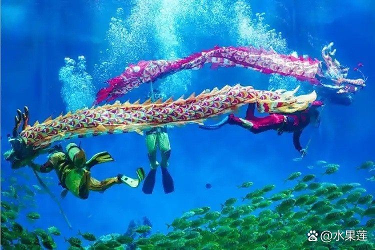 合肥水族館，探秘合肥水族館，