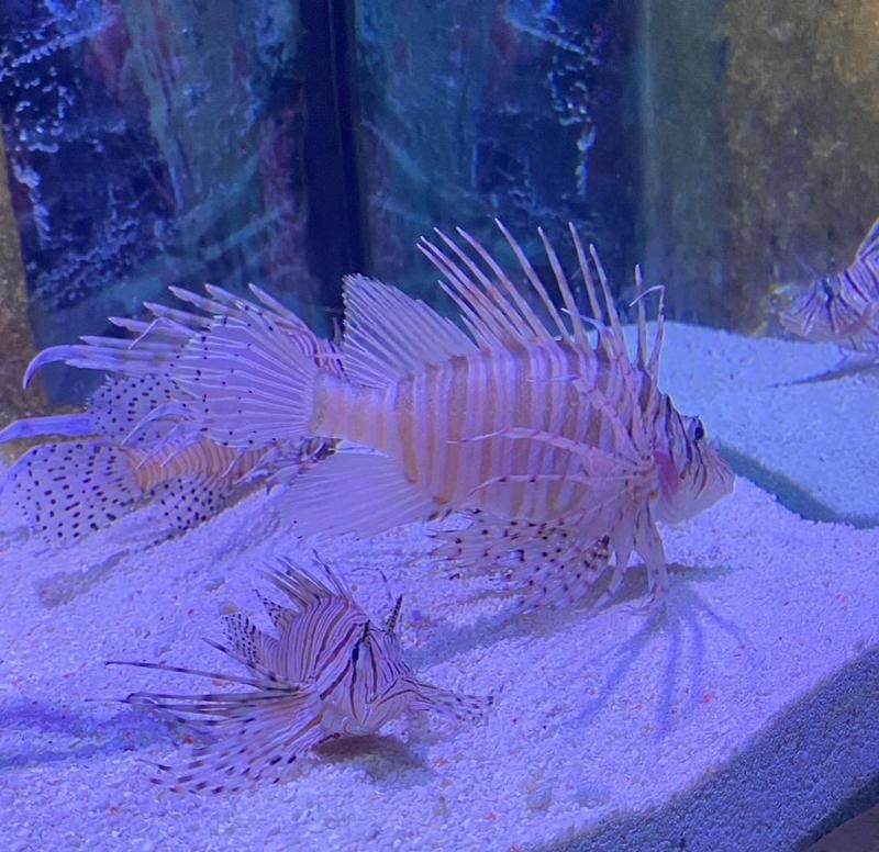 合肥水族館，探秘合肥水族館，