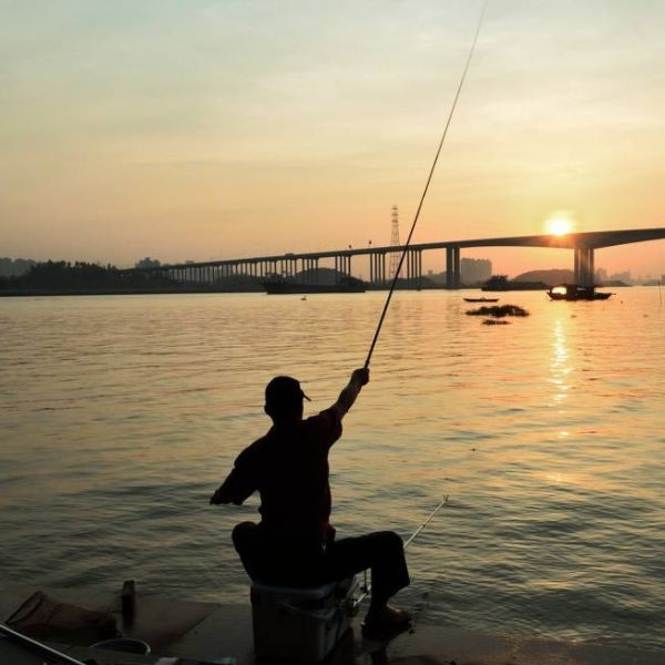 河里抓的小魚能喂銀龍魚嗎，河中捕撈的野生小魚能否安全投喂