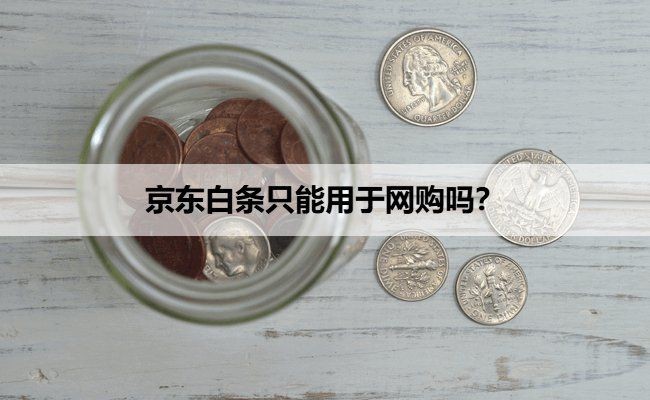 京東白條支持哪些平臺，京東白條適配平臺大盤點，這些渠道都能用！