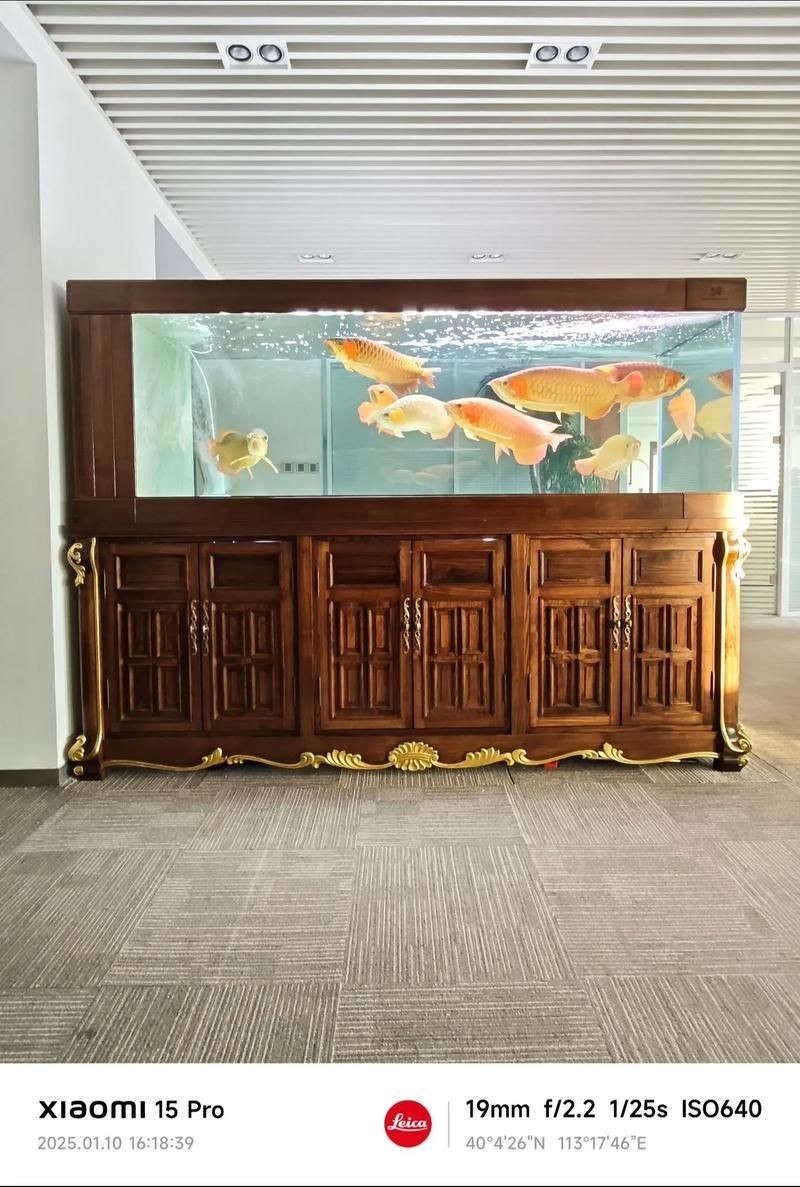 久鼎魚缸圖片，久鼎魚缸高清實(shí)