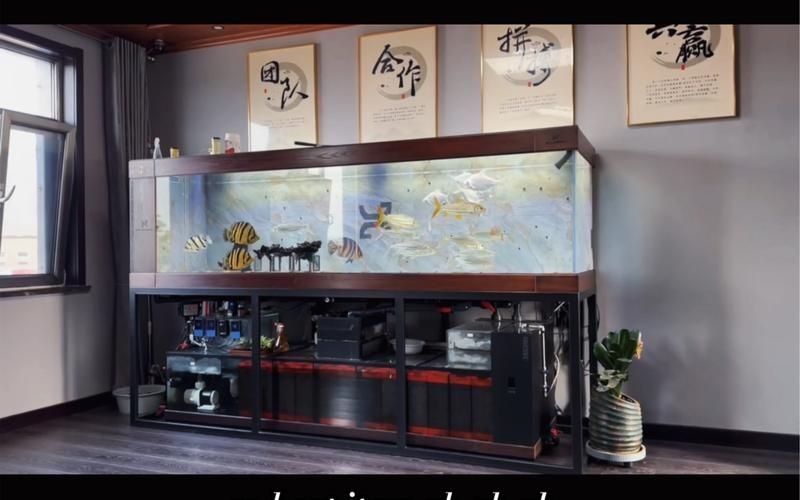 久鼎魚缸圖片，久鼎魚缸高清實(shí)