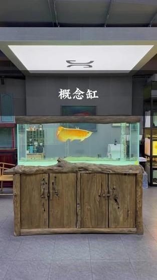 久鼎魚缸圖片，久鼎魚缸高清實(shí)