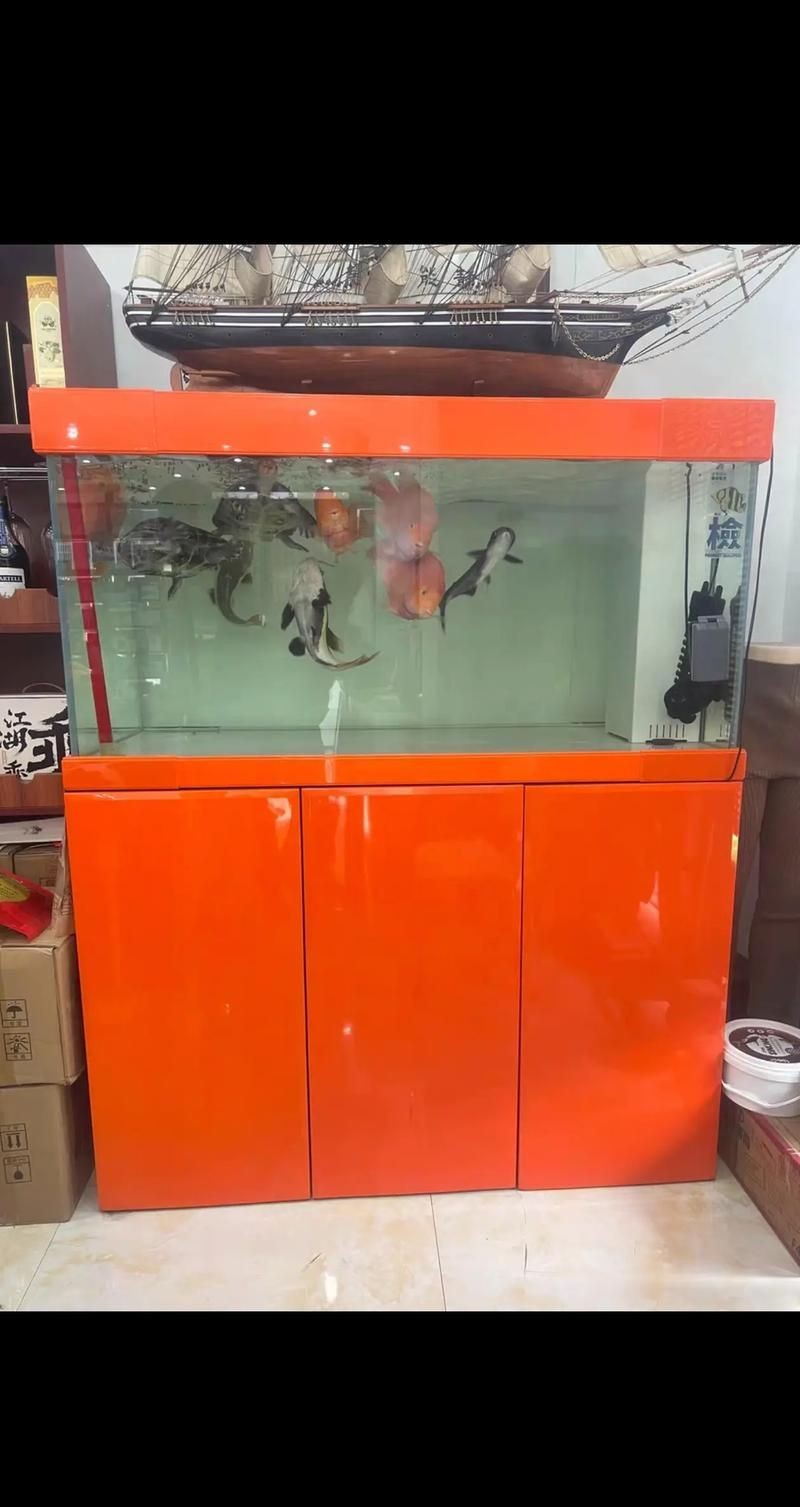 久鼎魚缸圖片，久鼎魚缸高清實(shí)