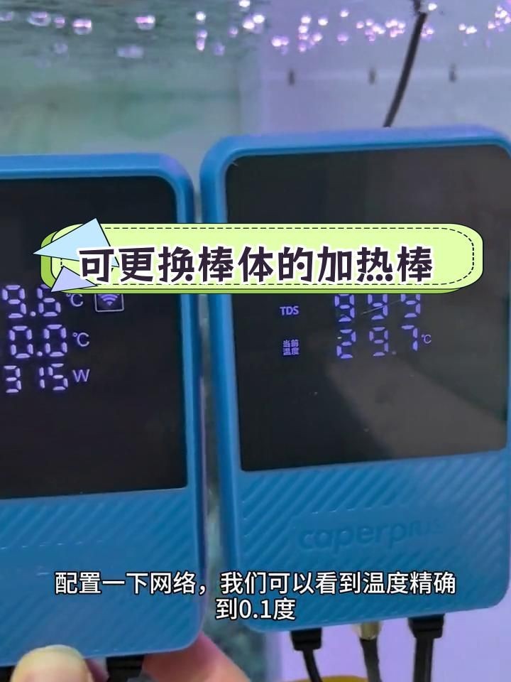 龍魚胡須斷裂后如何護理傷口，龍魚胡須斷裂后能否恢復 龍魚胡須斷裂后如何護理傷口，龍魚胡須斷裂后能否恢復 龍魚百科 第2張