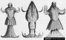 海和尚是種什么生物，揭秘海和尚的真實身份，它究竟屬于何種海洋生物