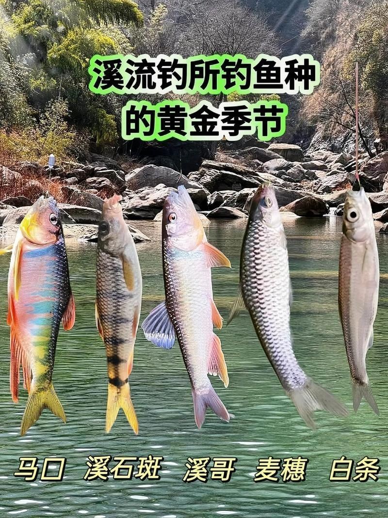 河里小魚品種圖片大全，超全圖鑒河里常見小魚