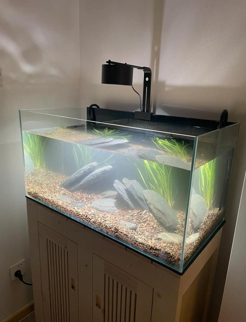 吉祥九鼎魚缸怎么樣，吉祥九鼎魚缸深度測評，品質性能與用戶口碑全