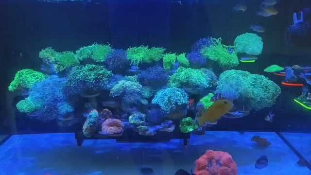 海水細菌感染怎么治療，海水引發的細菌感染，科學有效的治療方案全解析