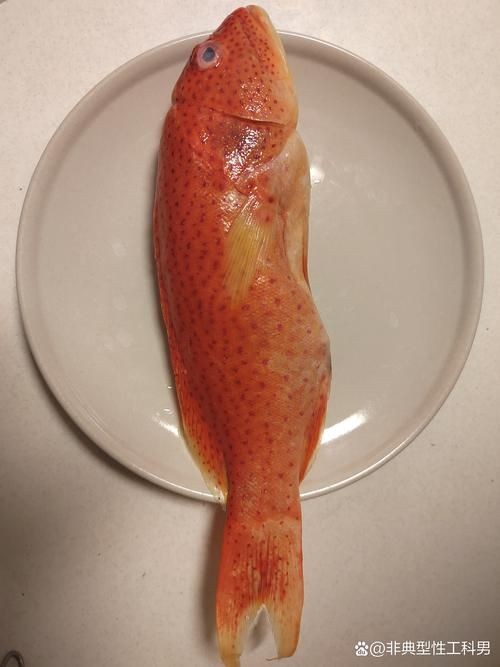 紅色的魚有哪幾種圖片，盤點全球驚艷紅色觀賞魚品種及