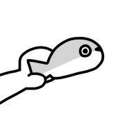 巨骨舌魚(yú)的毒性有多強(qiáng)，揭秘巨骨舌魚(yú)，其