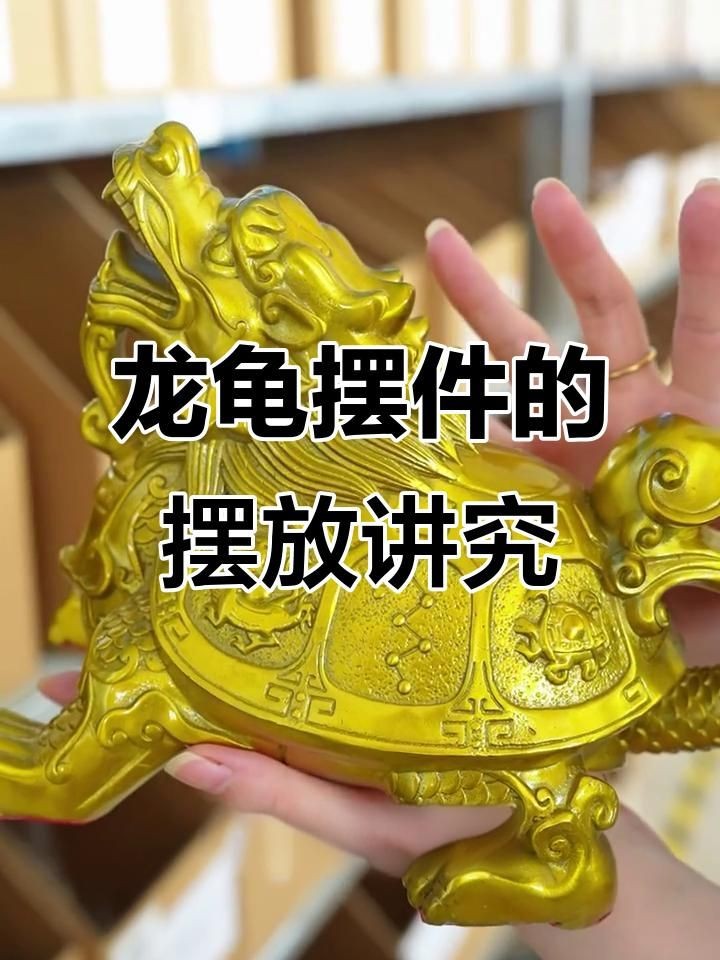 家里龍龜擺件放哪里好，家庭龍龜擺件最佳擺放位置