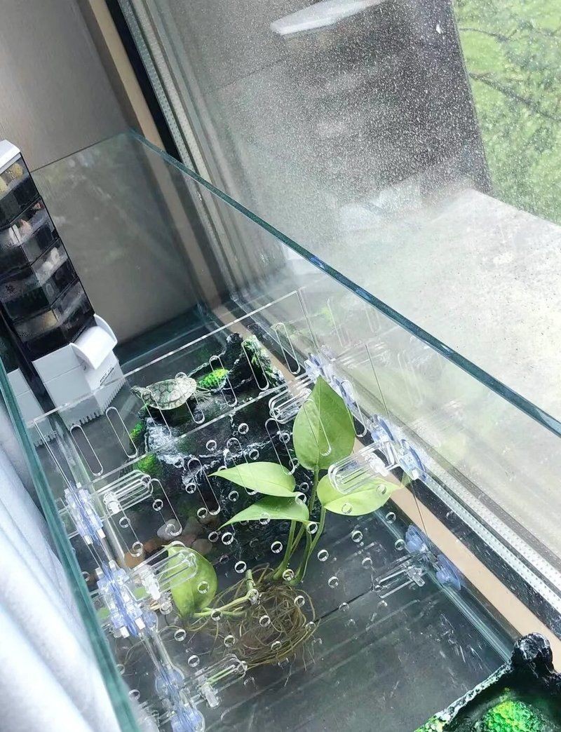 臨汾魚缸定做，臨汾專業魚缸定制廠家｜個性化水族箱