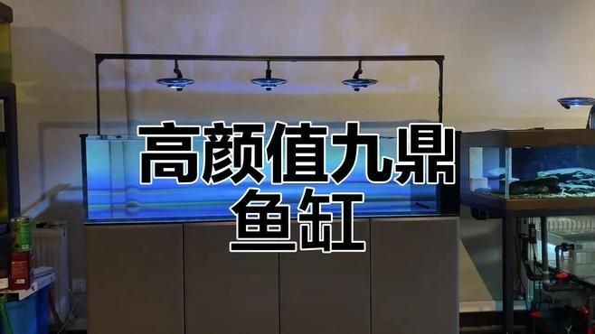 久鼎魚缸屬于什么檔次，深度解析，久鼎魚缸的品牌定位與市場檔次歸屬