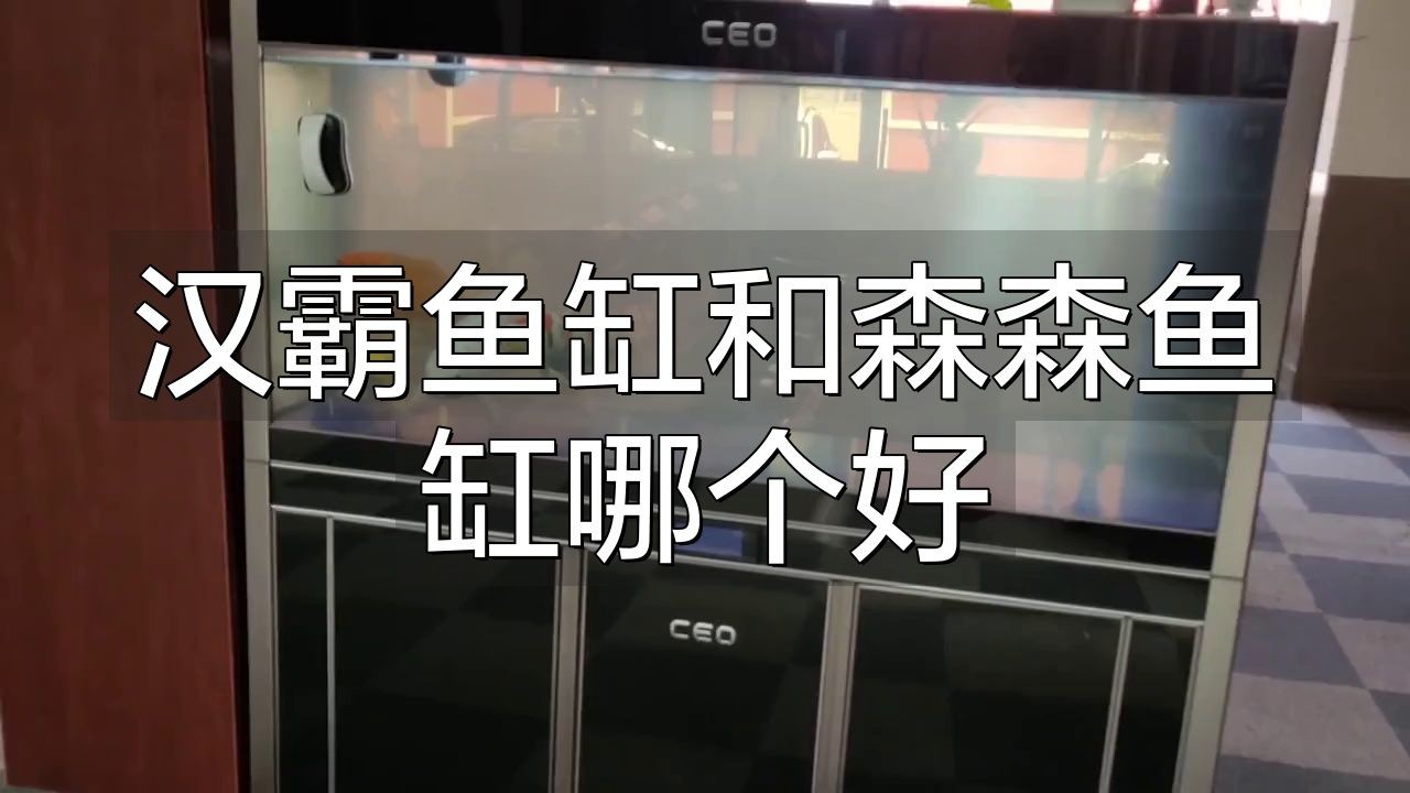 漢霸魚缸建議買嗎，實測分享漢霸魚缸真的值得入手嗎？優(yōu)缺點全解析