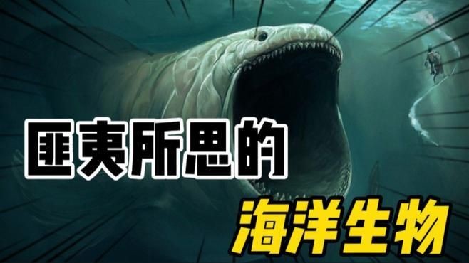 海洋百科視頻，探秘蔚藍世界，海洋百科