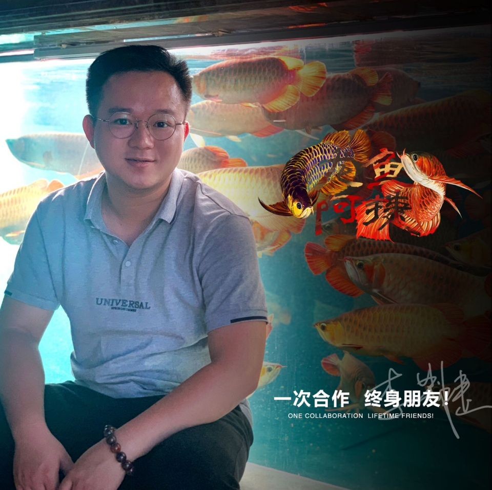 紅龍魚最貴三樣東西，揭秘紅龍魚圈天價三寶，最燒錢的三大頂級配置