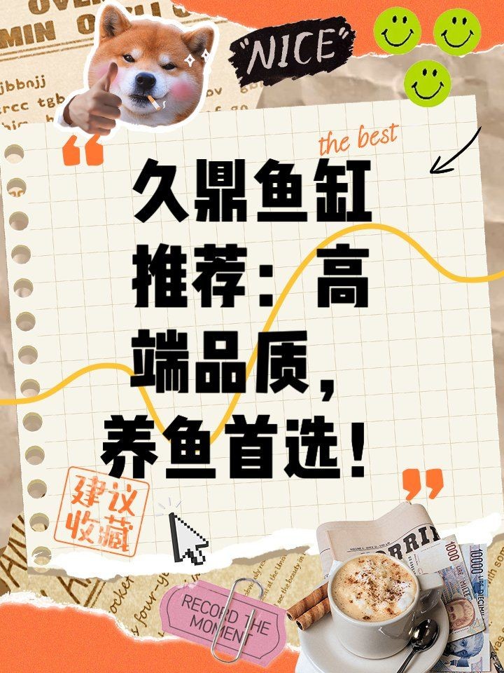 久鼎魚缸多少錢一個，久鼎魚缸價格解析，