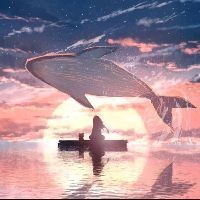 久鼎魚缸多少錢一個，久鼎魚缸價格解析，