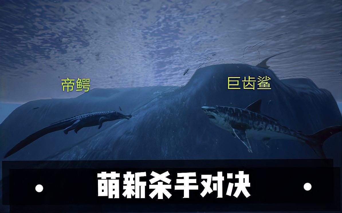 巨齒鯊vs帝王鯊，巨齒鯊與帝王鯊，史前海洋