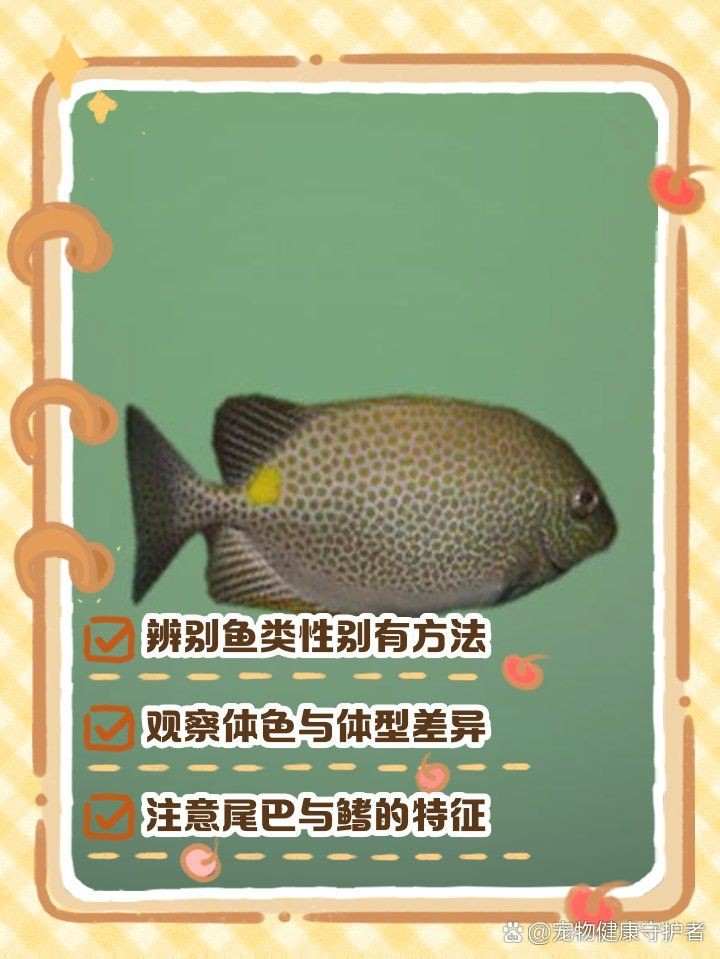 和尚魚公母區(qū)分，和尚魚公母區(qū)分方法及