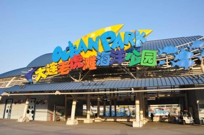 海老虎圖片，高清海老虎圖片，震撼視覺的海洋霸主瞬間