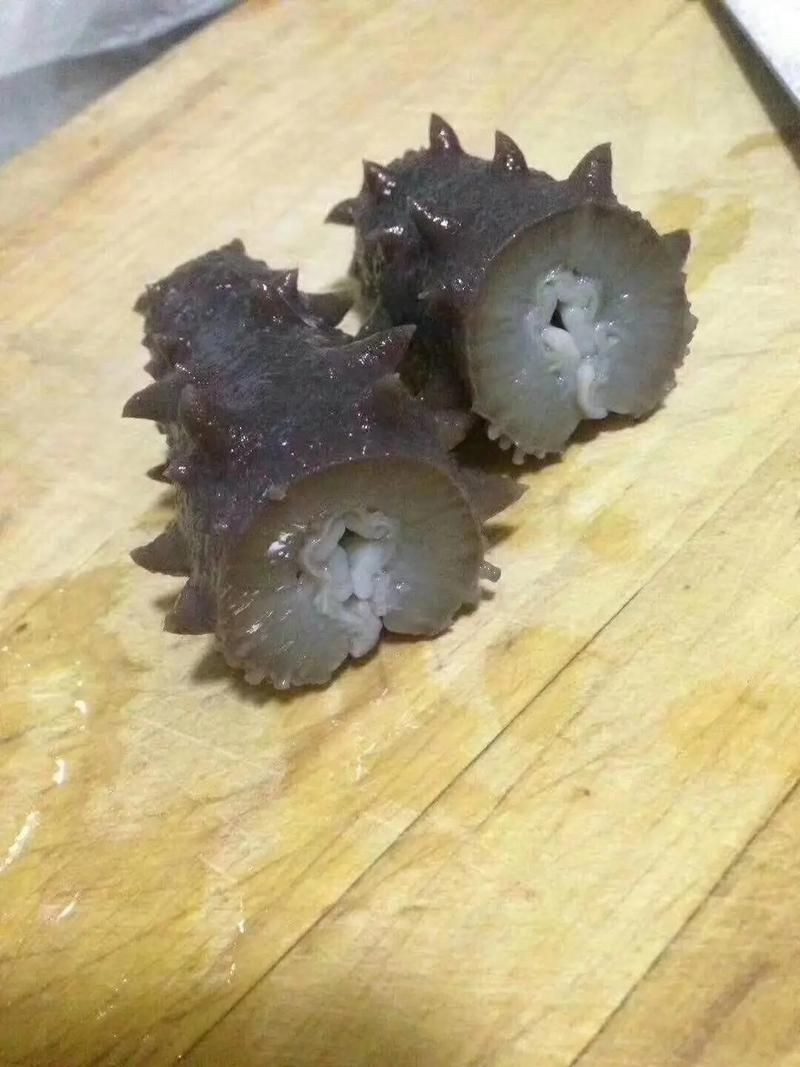海老虎圖片，高清海老虎圖片，震撼視覺的海洋霸主瞬間