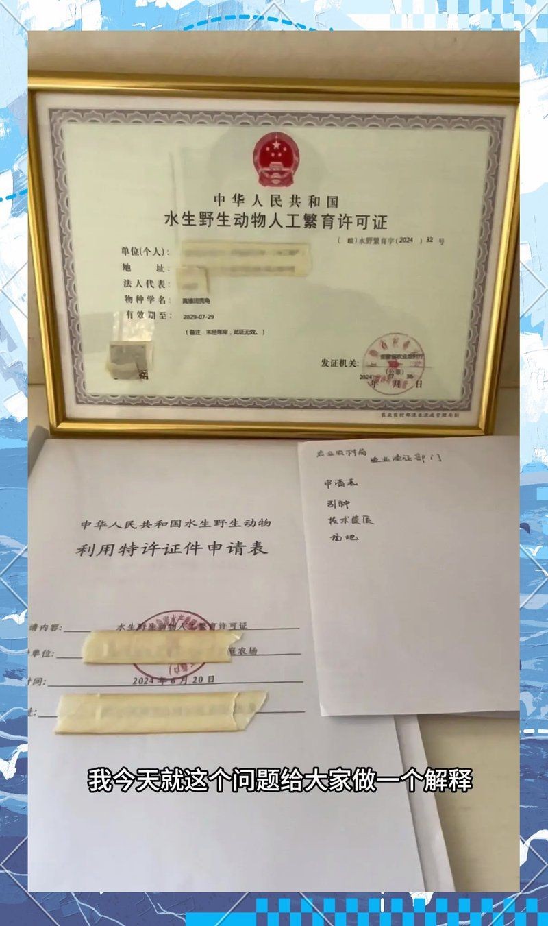 個人辦理養龜許可證，個人申請養龜許可證，詳細流程與必備材料一覽
