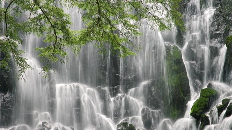 加熱棒品牌排行榜