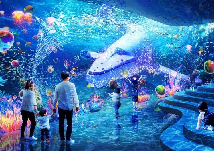 臺灣水族館，探秘臺灣水族館，解鎖奇幻
