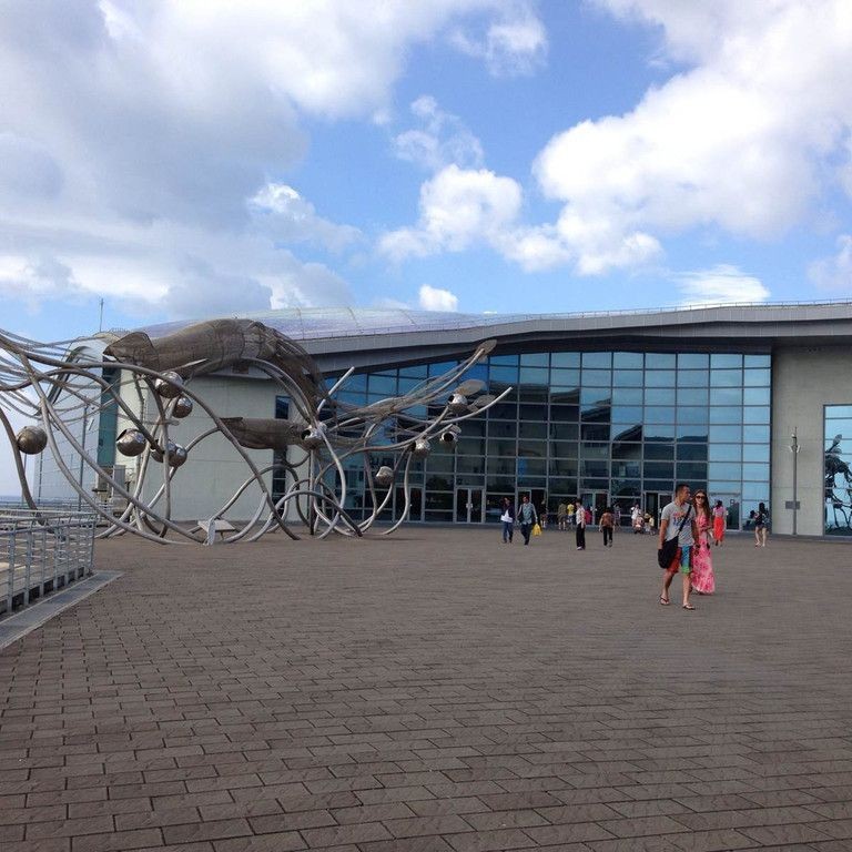 臺灣水族館，探秘臺灣水族館，解鎖奇幻