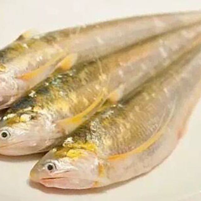 河里的刀魚又叫什么魚，探秘水鄉(xiāng)珍饈，詳解河中刀魚的