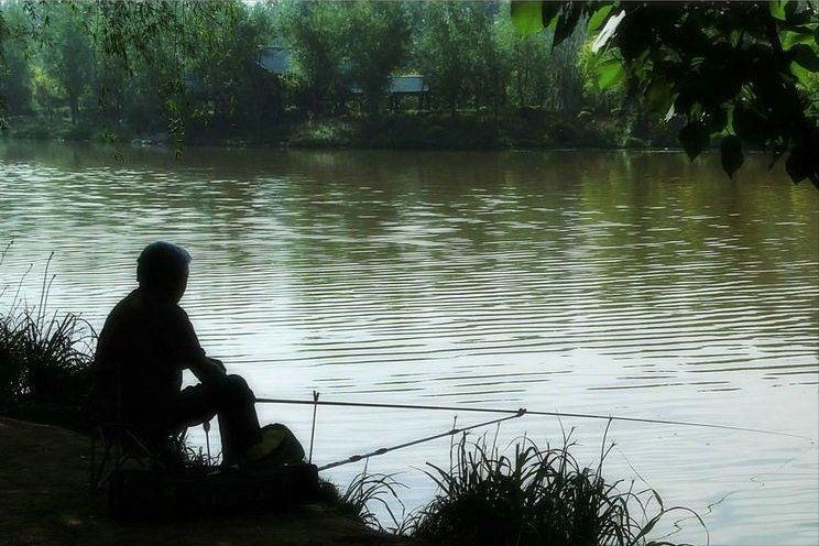 氧氣充足魚(yú)為什么浮頭，氧氣充沛環(huán)境下魚(yú)類(lèi)異常浮頭