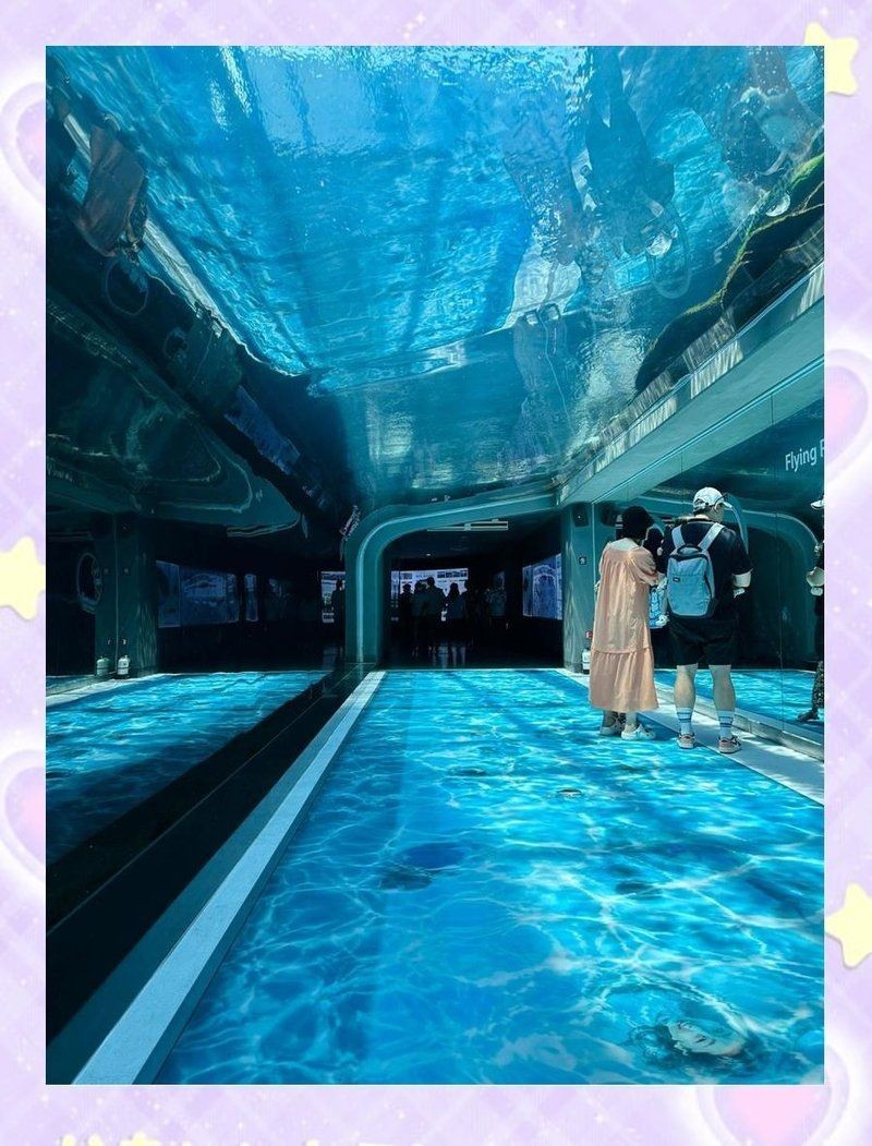 濟州島海洋館是亞洲第一嗎，深度解析，濟州島海洋