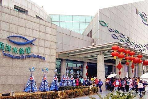 濟(jì)州島海洋館是亞洲第一嗎,深度解析,濟(jì)州島海洋 龍魚論壇 第7張 濟(jì)州島海洋館是亞洲第一嗎,深度解析,濟(jì)州島海洋 濟(jì)州島海洋館是亞洲第一嗎,深度解析,濟(jì)州島海洋 龍魚論壇 第7張