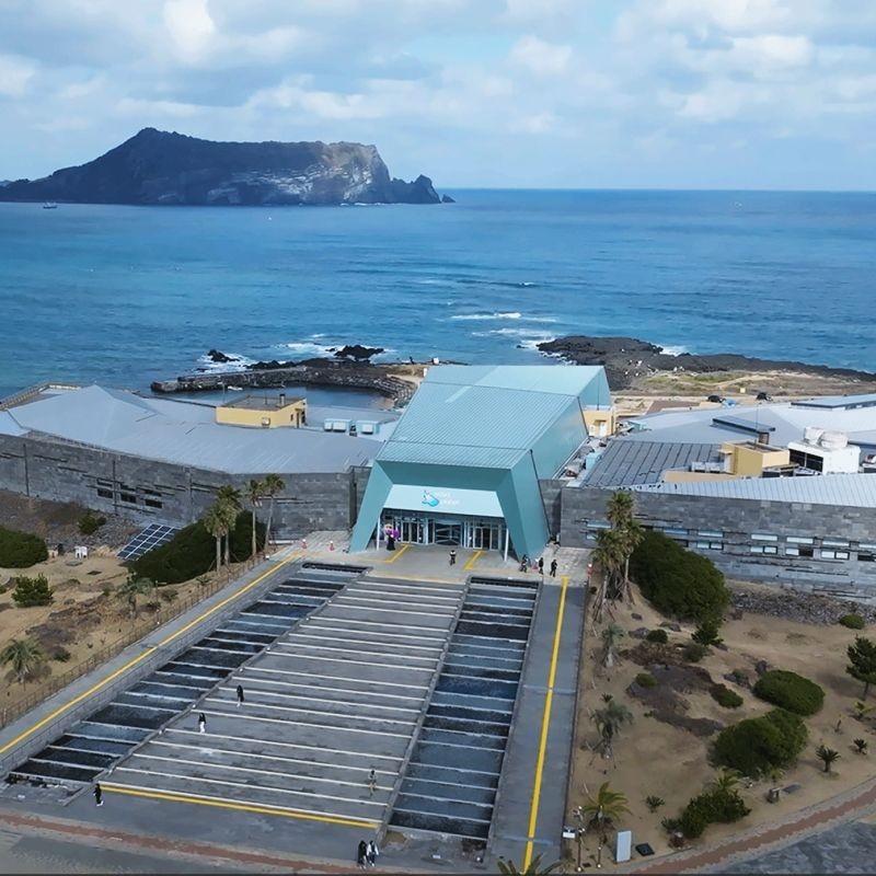濟(jì)州島海洋館是亞洲第一嗎,深度解析,濟(jì)州島海洋 龍魚論壇 第17張 濟(jì)州島海洋館是亞洲第一嗎,深度解析,濟(jì)州島海洋 濟(jì)州島海洋館是亞洲第一嗎,深度解析,濟(jì)州島海洋 龍魚論壇 第17張