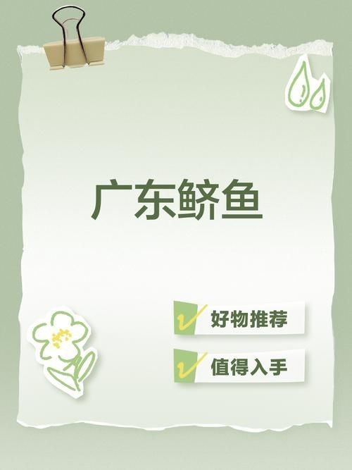 廣東鱭魚圖片，廣東鱭魚高清實拍圖片