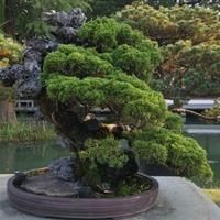 好魚糧好還是不好魚糧好，好魚糧VS劣魚糧，科學養