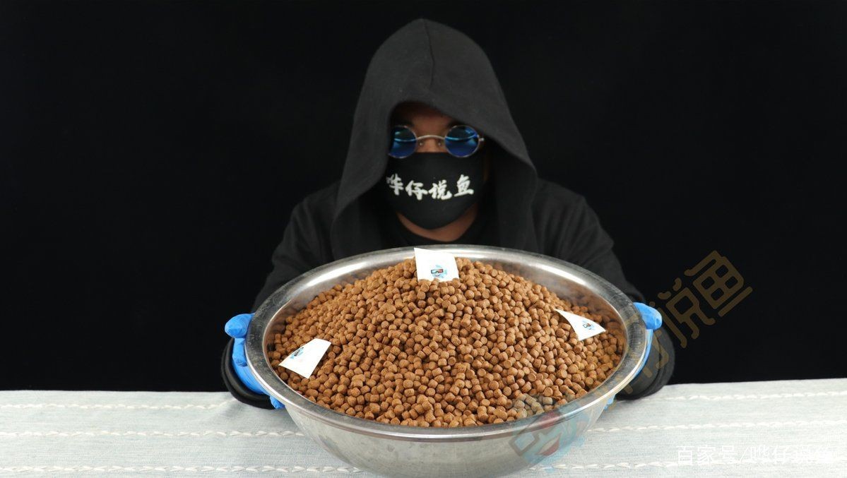 好魚糧好還是不好魚糧好，好魚糧VS劣魚糧，科學養