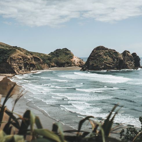 棘龍霸王龍VS牛龍，史前霸主終極對決，棘龍、霸王龍與牛