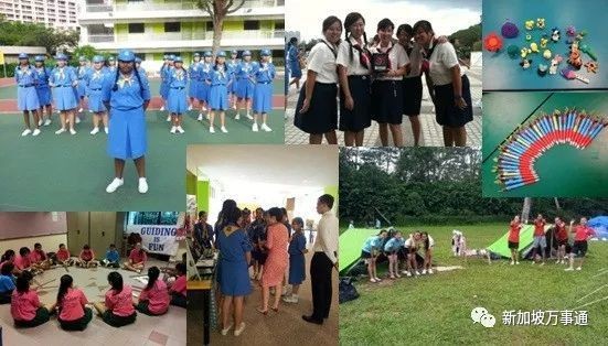 華人去新加坡好混嗎，華人移居新加坡生存現(xiàn)狀，機遇與挑戰(zhàn)并存的真實體驗 華人去新加坡好混嗎，華人移居新加坡生存現(xiàn)狀，機遇與挑戰(zhàn)并存的真實體驗 全國水族館企業(yè)名錄 第3張