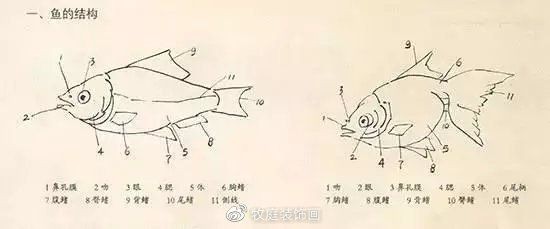 國畫魚寫意，墨趣橫生，國畫寫