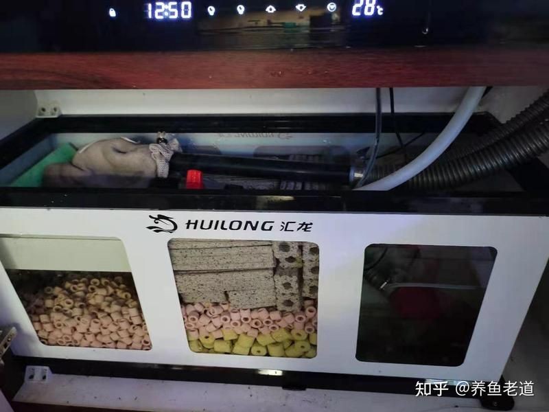 九鼎魚(yú)缸過(guò)濾系統(tǒng)圖詳細(xì)詳解，九鼎魚(yú)缸過(guò)濾系統(tǒng)全解，原理+結(jié)構(gòu)+安裝