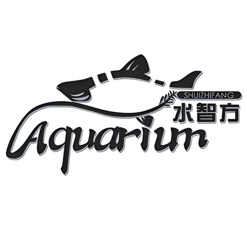 吉林水族店，吉林專業水族店｜精品觀賞魚·定制魚缸·一站式服務