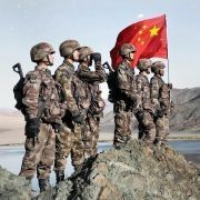 海獅能聽懂人話嗎，揭秘！海獅究竟能否聽懂
