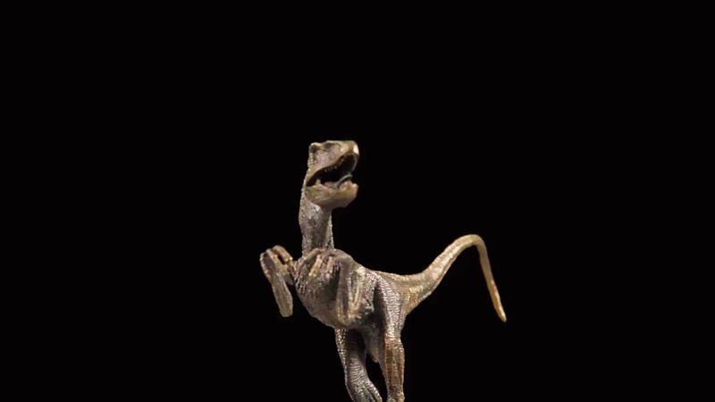 恐龍擺件最旺三個地方，??恐龍擺件招財攻略，家中這三處 恐龍擺件最旺三個地方，??恐龍擺件招財攻略，家中這三處 龍魚百科 第3張