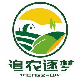 桂紅龍一號和金都一號對比，桂紅龍一號VS金都一號，
