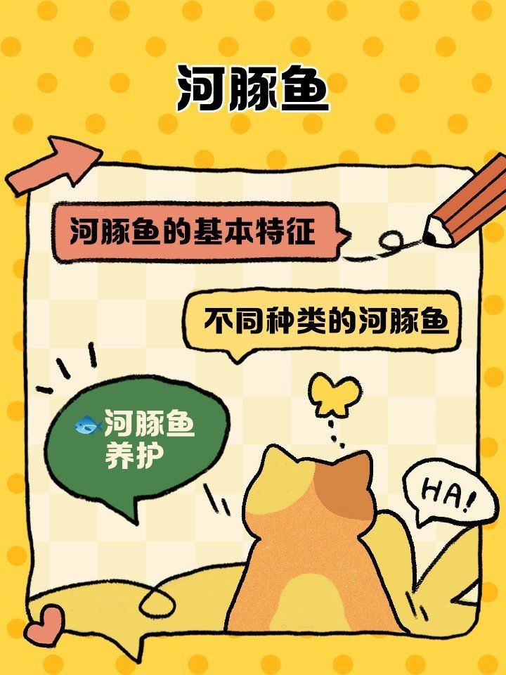 河豚魚和狗頭魚的區別，河豚魚VS狗頭魚，從外形到習性的